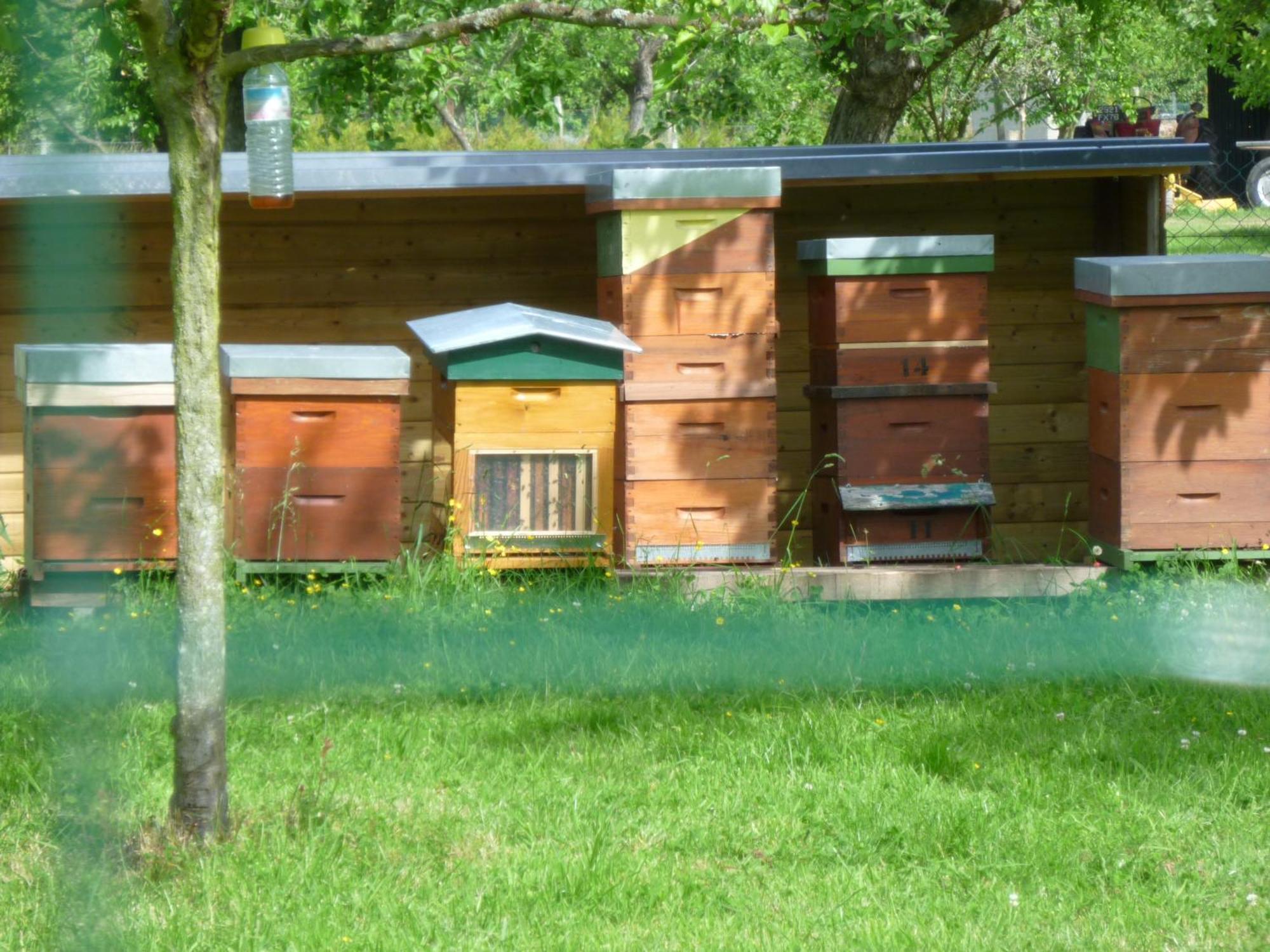 Bed and Breakfast Chambre D'Hotes Au Fil De L'Eau Jumièges Exterior foto