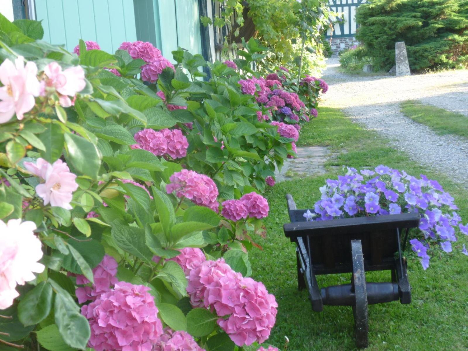 Bed and Breakfast Chambre D'Hotes Au Fil De L'Eau Jumièges Exterior foto