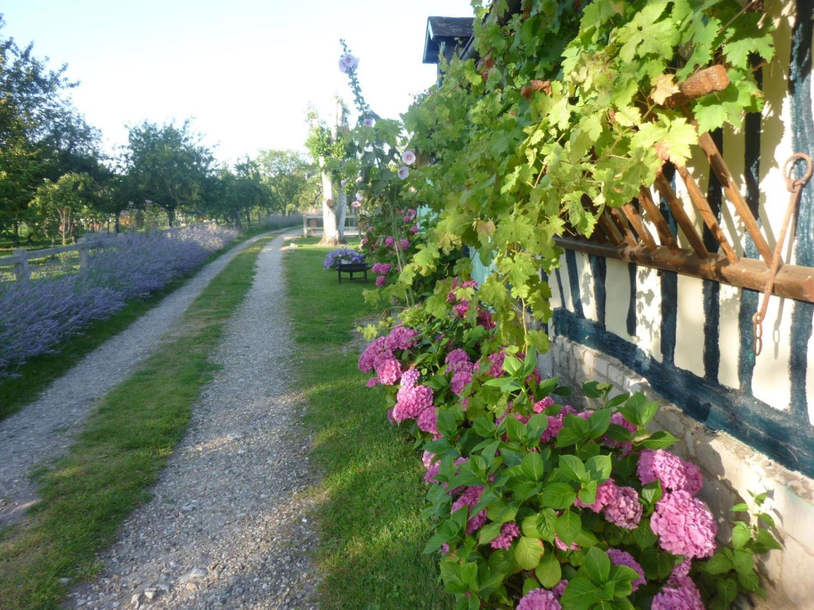 Bed and Breakfast Chambre D'Hotes Au Fil De L'Eau Jumièges Exterior foto